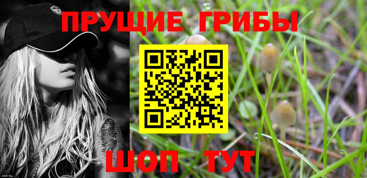 Псилоцибиновые грибы мухоморы  Вход с VPN  хочу наркоту  Сальск 