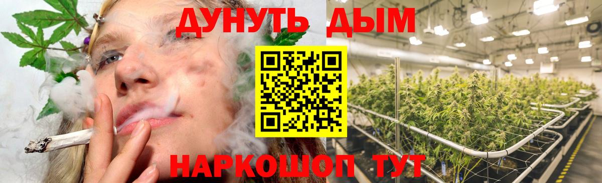 Бошки марихуана OG Kush Сальск